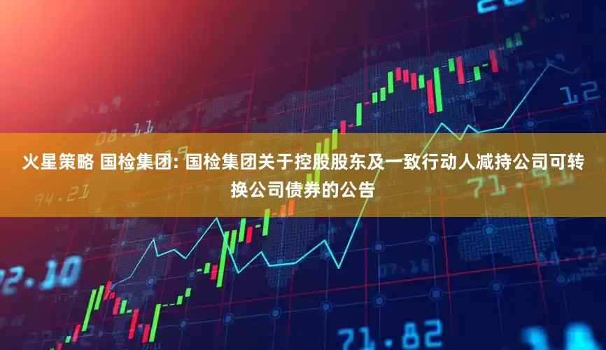 火星策略 国检集团: 国检集团关于控股股东及一致行动人减持公司可转换公司债券的公告
