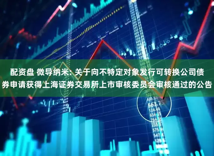 配资盘 微导纳米: 关于向不特定对象发行可转换公司债券申请获得上海证券交易所上市审核委员会审核通过的公告
