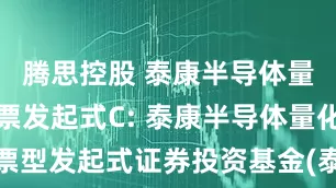 腾思控股 泰康半导体量化选股股票发起式C: 泰康半导体量化选股股票型发起式证券投资基金(泰康半导体量化选股股票发起式C份额)基金产品资料概要更新