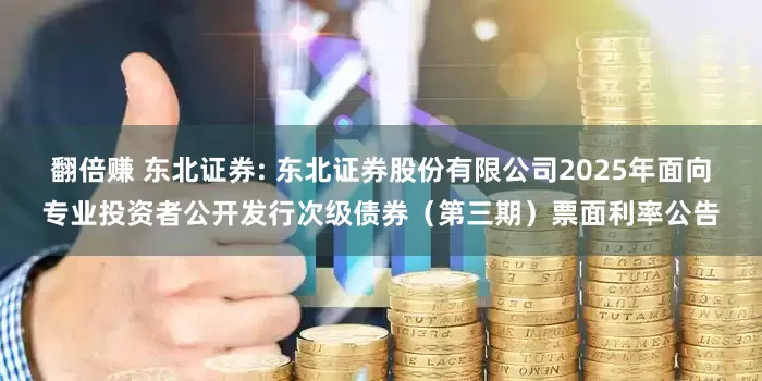 翻倍赚 东北证券: 东北证券股份有限公司2025年面向专业投资者公开发行次级债券（第三期）票面利率公告
