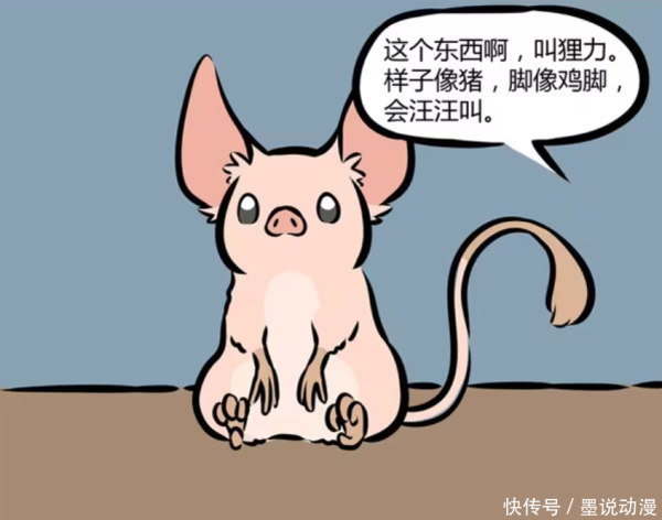 兴盛网  非人哉：白泽揭晓狸力的能力，九月和敖烈将它放生