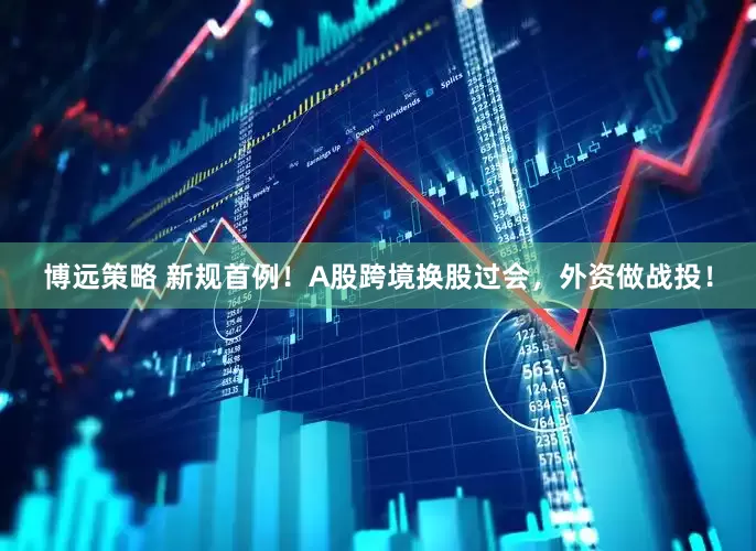 博远策略 新规首例！A股跨境换股过会，外资做战投！
