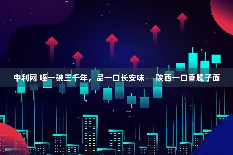 中利网 咥一碗三千年，品一口长安味——陕西一口香臊子面