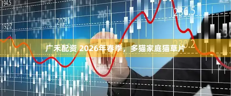 广禾配资 2026年春季，多猫家庭猫草片